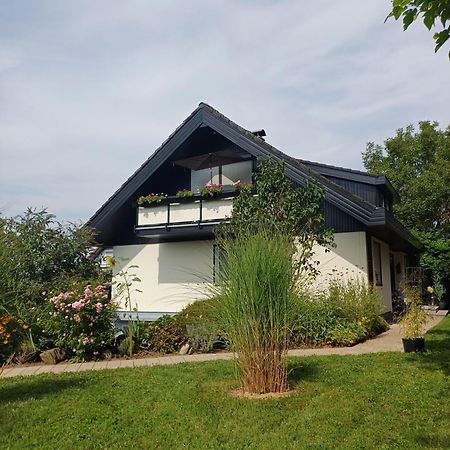 Ferienwohnung Sylvia Michelstadt Ngoại thất bức ảnh